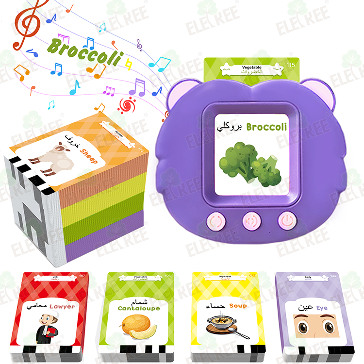 Arabic Learning Flash Cards